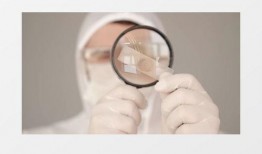 放大镜最新爆料视频下载,视频内容深度解析