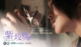 紫玫瑰电视剧在线观看,浪漫邂逅，情感纠葛